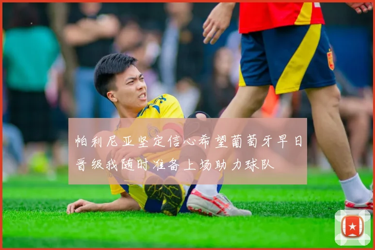 帕利尼亚坚定信心希望葡萄牙早日晋级我随时准备上场助力球队