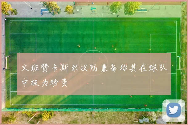 文班赞卡斯尔攻防兼备称其在球队中极为珍贵