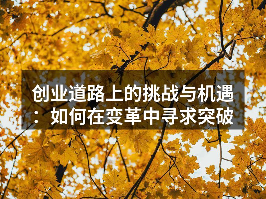 创业道路上的挑战与机遇：如何在变革中寻求突破